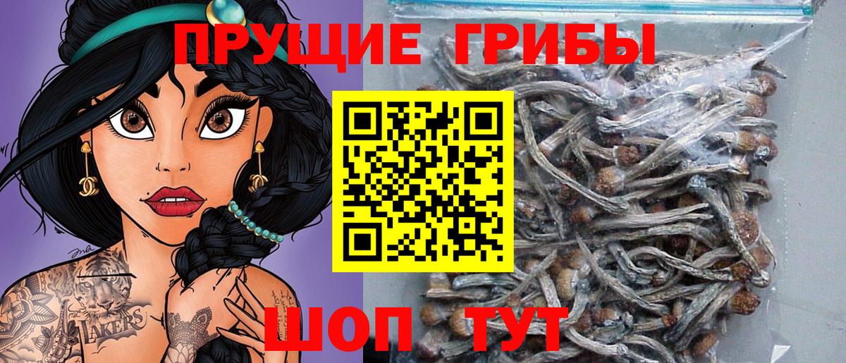 Псилоцибиновые грибы GOLDEN TEACHER  Вход с VPN  Изобильный 