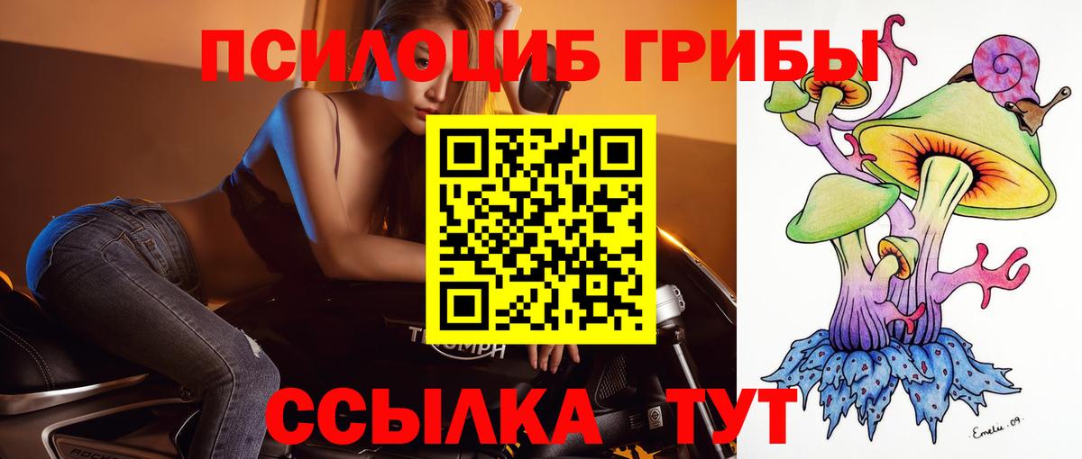 Галлюциногенные грибы GOLDEN TEACHER Изобильный