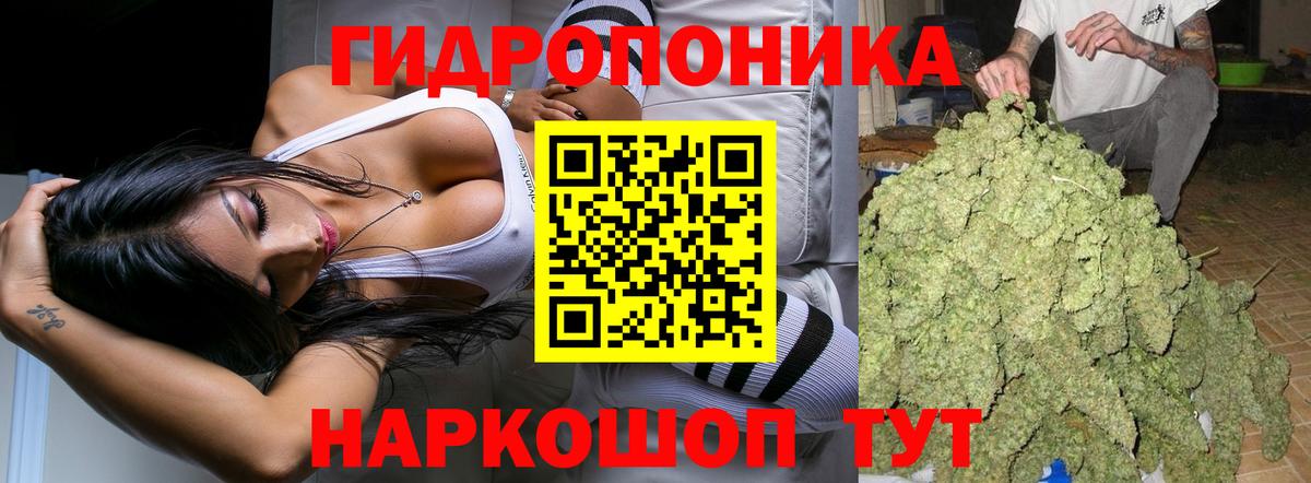 Бошки Шишки сатива Изобильный
